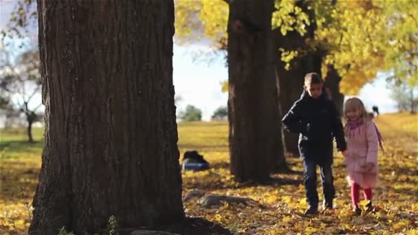 兄と妹の秋の公園で一緒に歩く — ストック動画