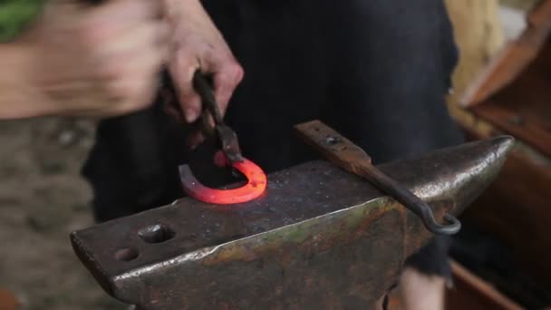 Smith Heats Metal Forge Horseshoe — Stock Video