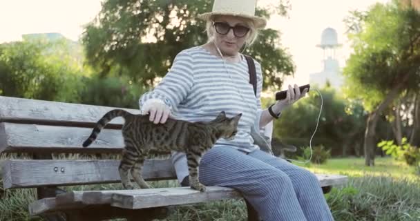 Blondynka starsza kobieta w okularach przeciwsłonecznych i słomkowym kapeluszu słucha muzyki w słuchawkach i bawi się z kociakami. — Wideo stockowe