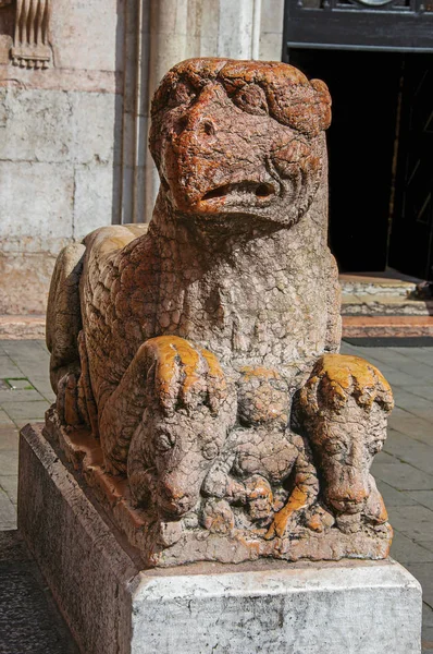Close-up of granite griffin sculpture in front of Ferrara Cathedral. — Stock Photo, Image