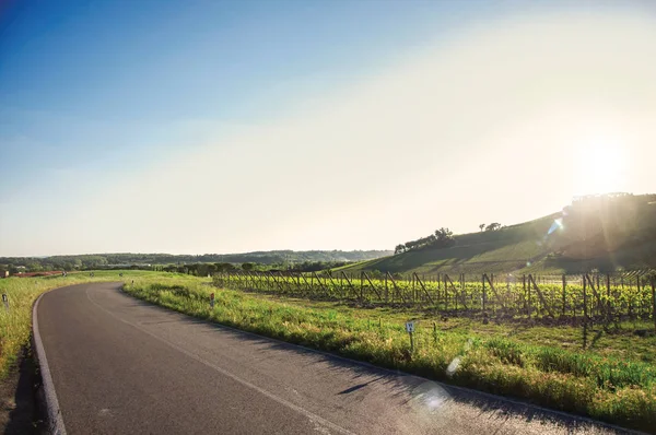 Veduta di verdi colline e vigneti vicino a una strada — Foto Stock