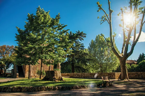 View of a pleasure garden on a fortress in a sunny day in Orvieto — Stock Photo, Image