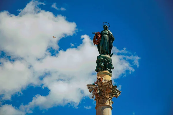 Overview sculpture over the Column of the Immaculate Conception in Rome — Stock Photo, Image