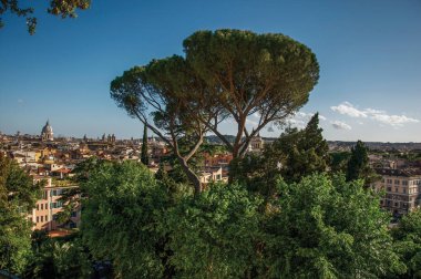 Ağaçlar, katedrallerin kubbeleri ve Roma'daki binaların çatıları genel bakış