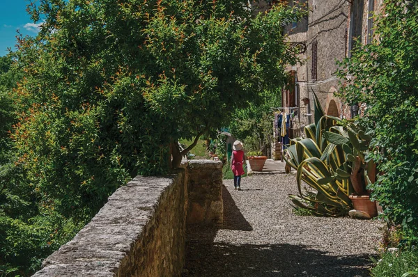 Vista de la calle con pasarela de guijarros plantas con flores en Colle di Val d 'Elsa — Foto de Stock