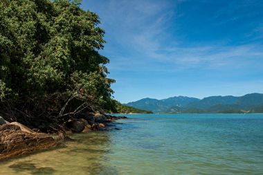 View of rocks, sea and forest on sunny day in Ilha do Pelado, a tropical beach near Paraty clipart