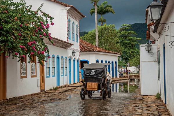 Carriage passing by water puddle in cobblestone alley, old houses in Paraty — Stock Photo, Image