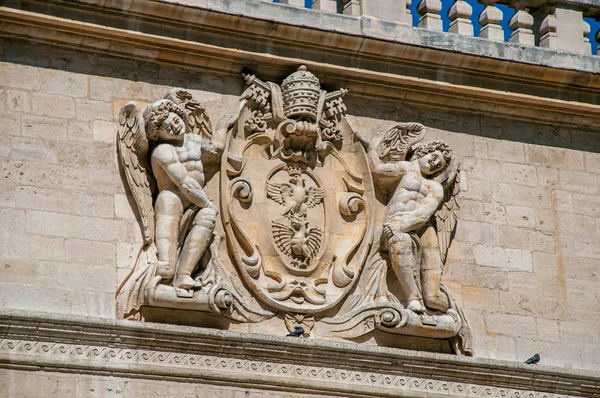 Detalle de adorno de piedra del edificio frente al Palacio de los Papas de Aviñón . — Foto de Stock