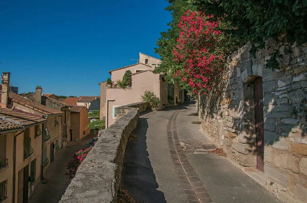 View of traditional stone houses and flowers on a street at sunrise, in Chateauneuf-de-Gadagne.
