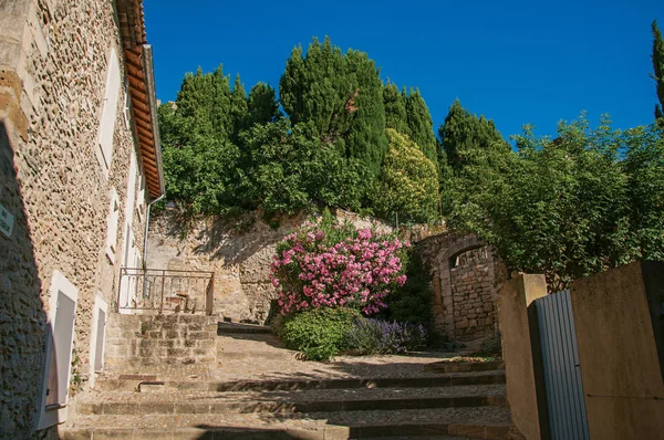 Vy av stenhus, trappa och blommor i den historiska staden centrerar av Chateauneuf-de-Gadagne. — Stockfoto