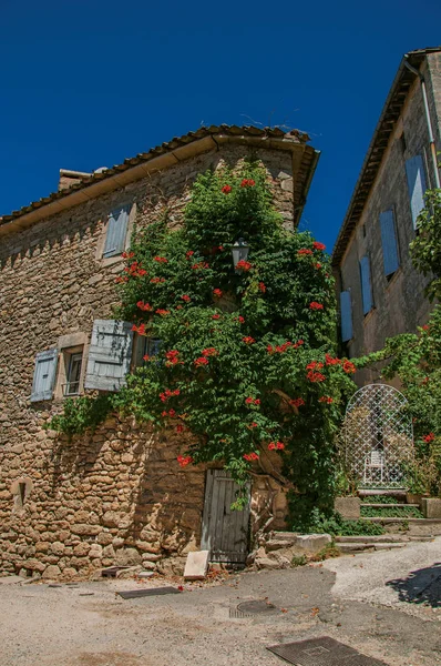 Blick auf typische Steinhäuser mit sonnigem blauem Himmel und Blumen, in einer Gasse des historischen Dorfes Menerbes. — Stockfoto