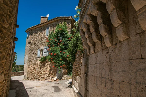 Blick auf typische Steinhäuser mit sonnigem blauem Himmel und Blumen, in einer Gasse des historischen Dorfes Menerbes. — Stockfoto