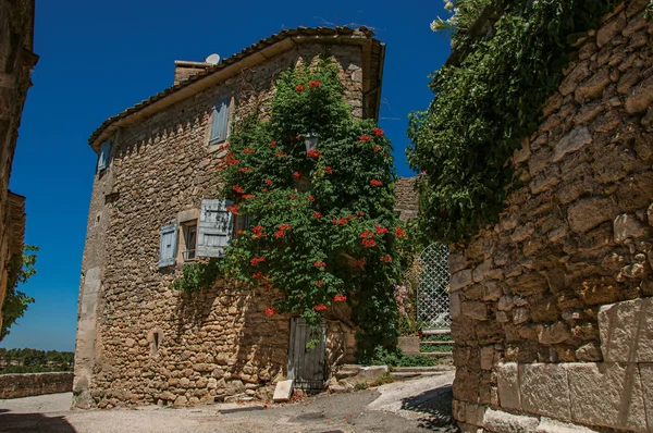 晴れた青空と花、Menerbes の歴史的な村の路地で典型的な石造りの家のビュー. — ストック写真