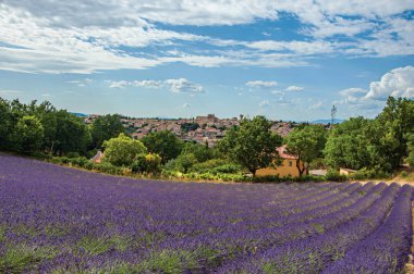Lavanta alanlar'ın altında güneşli mavi gökyüzü ve arka Valensole şehrin panoramik manzaralı.