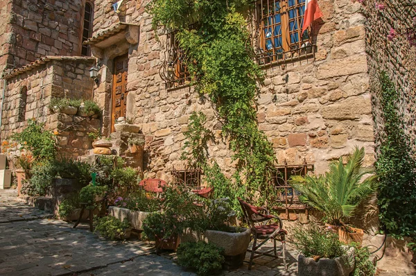 Close-up de fachada casa de pedra com bindweed em um beco, em Les Arcs-sur-Argens . — Fotografia de Stock