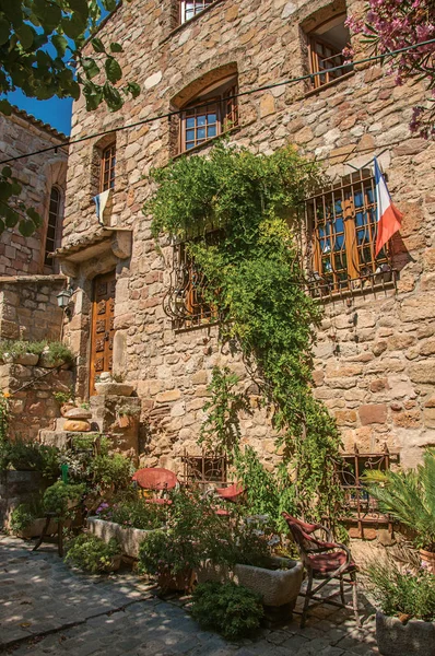 Крупный план фасада каменного дома с переплетением сорняков в переулке, в Ле-Арк-сюр-Аржан . — стоковое фото