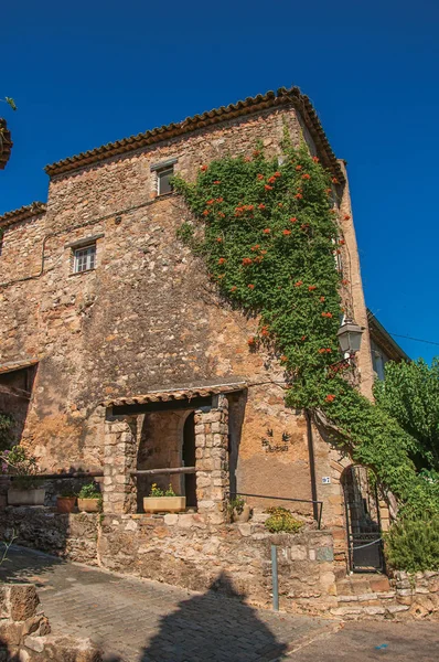 Vista de la fachada de la casa de piedra con bindweed en Les Arcs-sur-Argens . — Foto de Stock