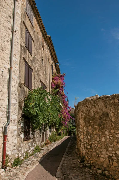 Veduta del vicolo con case in pietra in una giornata di sole blu a Saint-Paul-de-Vence . — Foto Stock
