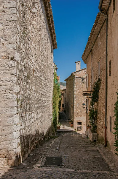 在 saint-paal-de-vence 村的石头房子与商店和 bindweed. — 图库照片