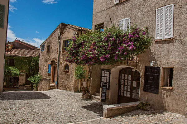 Visa av hus med blomstrande Vinda i Haut-de-Cagnes — Stockfoto