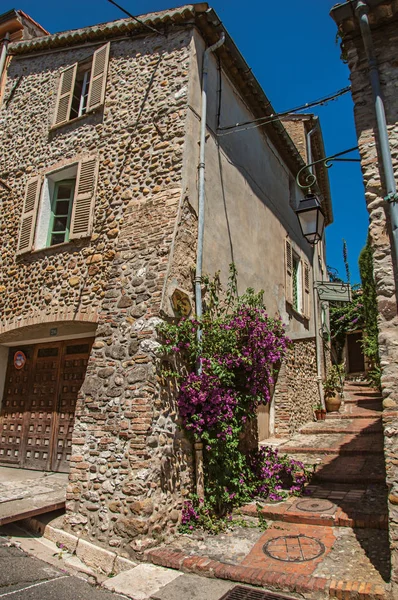 Utsikt över gränden med hus på sluttningen och blommor i Haut-de-Cagnes. — Stockfoto