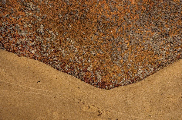 Primo piano di roccia particolare con fienili e sabbia a Paraty Mirim, una spiaggia tropicale vicino a Paraty . — Foto Stock