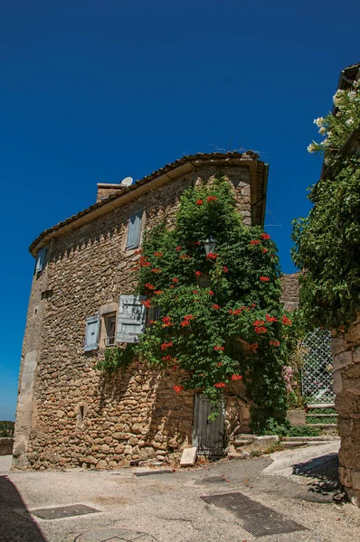 Menerbes Francia Luglio 2016 Vista Della Tipica Casa Pietra Con — Foto Stock