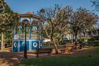 Sao Manuel, Güneydoğu Brezilya - 08 Eylül 2017. Eski renkli çardak ağaçların, Sao Manuel, güneşli bir gün Bahçe tam ortasında. Sao Paulo eyalet kırsal kesimde şirin küçük bir kasaba.