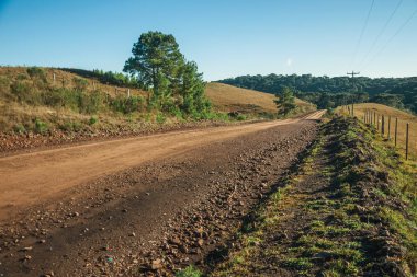 Kırsal ovalardan geçen terk edilmiş toprak yol.
