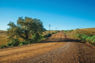 Kırsal ovalardan geçen terk edilmiş toprak yol.