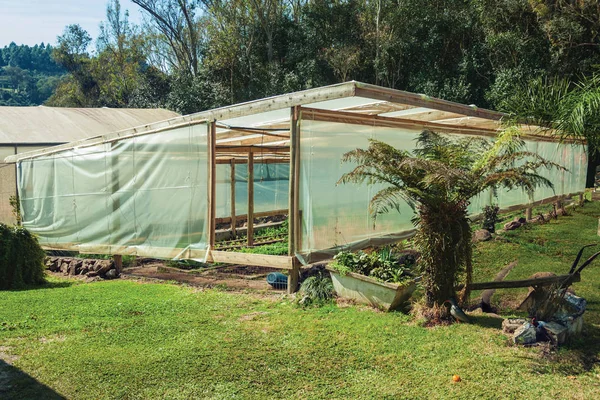 Jardín vegetal dentro de un invernadero —  Fotos de Stock