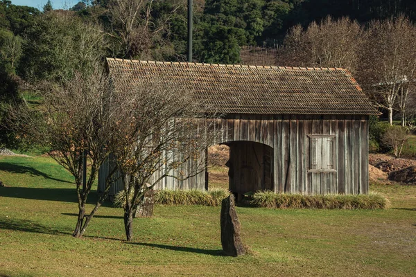 बागेत आकर्षक लाकडी जुना घर — स्टॉक फोटो, इमेज