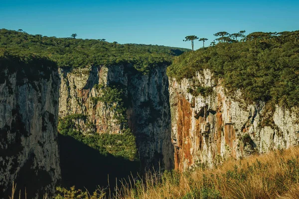 Itaimbezinho峡谷，悬崖峭壁陡峭 — 图库照片