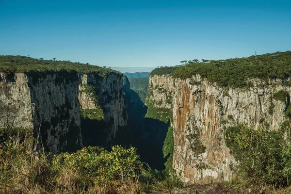 Canyon Itaimbezinho avec falaises rocheuses escarpées — Photo