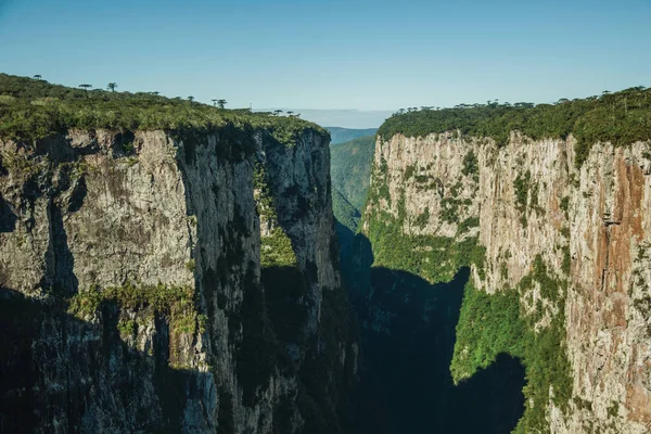 Canyon Itaimbezinho avec falaises rocheuses escarpées — Photo