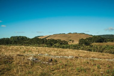 Yeşil bahçeli kırsal ovalar ve kuru çalılar.