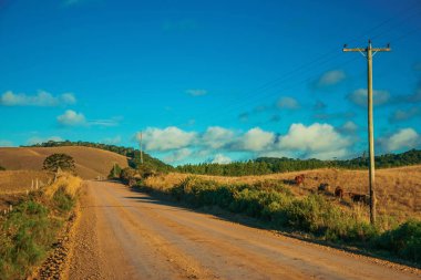Kırsal ovalardan geçen terk edilmiş toprak yol.