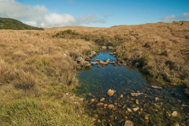 Kuru çalılarla kaplı tepelerden geçen dere.