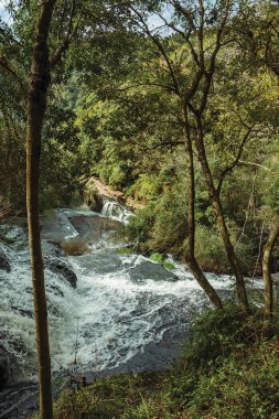 Bereketli bir ormanda kayaların üzerine düşen şelale.