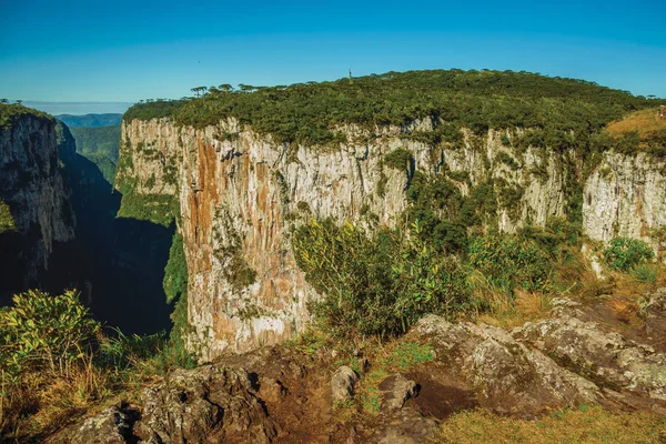 Itaimbezinho峡谷，悬崖峭壁陡峭 — 图库照片
