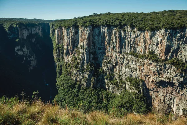 Canyon Itaimbezinho avec falaises rocheuses escarpées — Photo