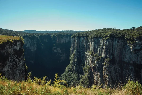 Itaimbezinho Canyon med stejle klipper - Stock-foto