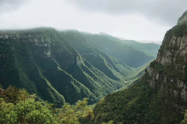 雾天有岩石悬崖峭壁的福塔莱萨峡谷 — 图库照片
