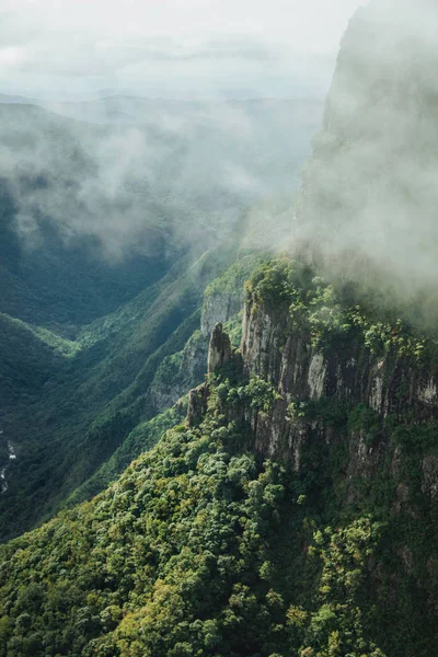 Cañón Fortaleza con acantilados rocosos y bosque — Foto de Stock