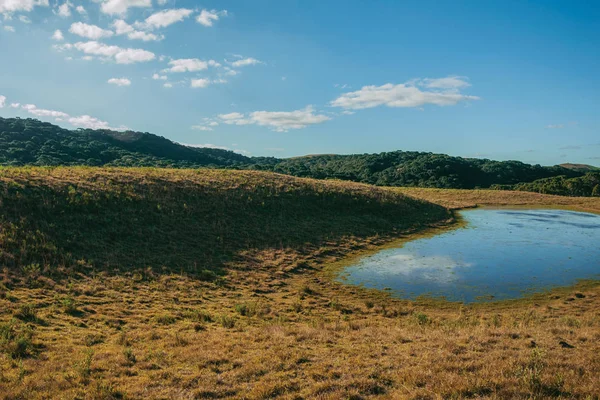 Tierras bajas rurales llamadas Pampa con lago pequeño — Foto de Stock