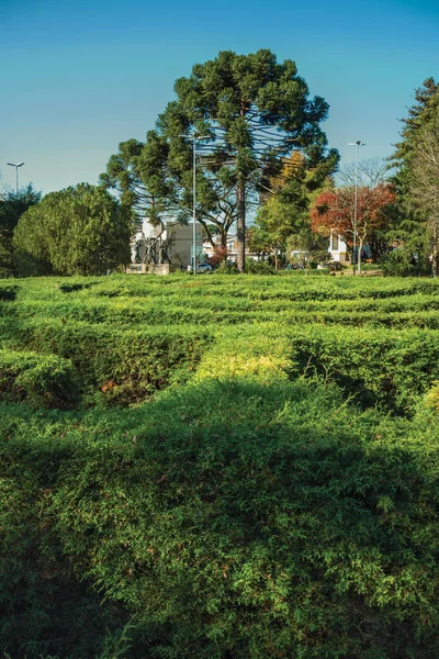 Laberinto hecho de arbustos de hoja perenne en un jardín — Foto de Stock