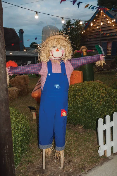 Scarecrow made of colorful cloths at dusk — Stock Photo, Image