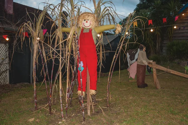 Scarecrow made of colorful cloths at dusk — Stock Photo, Image