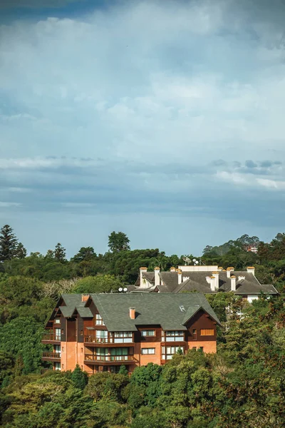 Townhouses on top of hill covered by lush forest — Stock Photo, Image