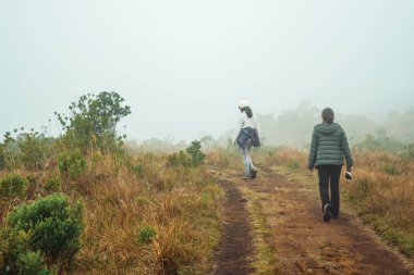Kuru çalıların ve sislerin arasında toprak yoldaki insanlar